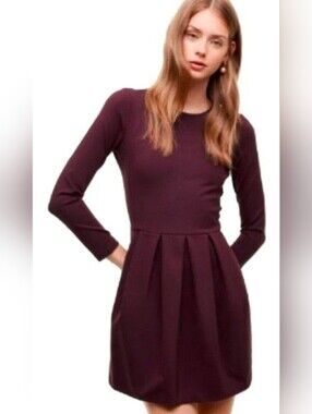 Aritzia Talula Tartine Long-Sleeve Pleated Fit-and-Flare Dress Size XS